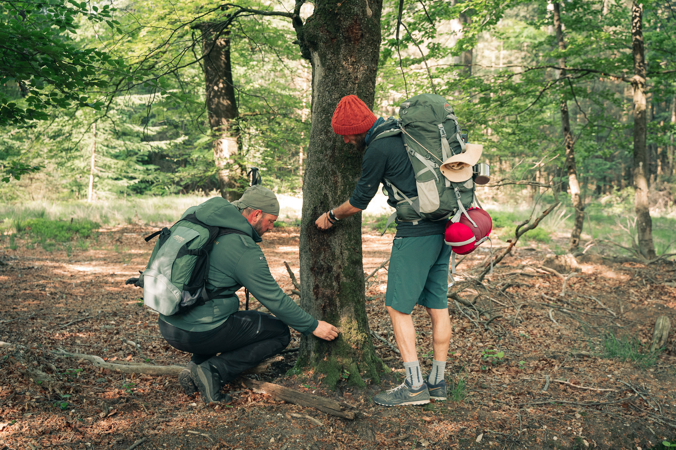 Wild sporen - start hiking Drenthe