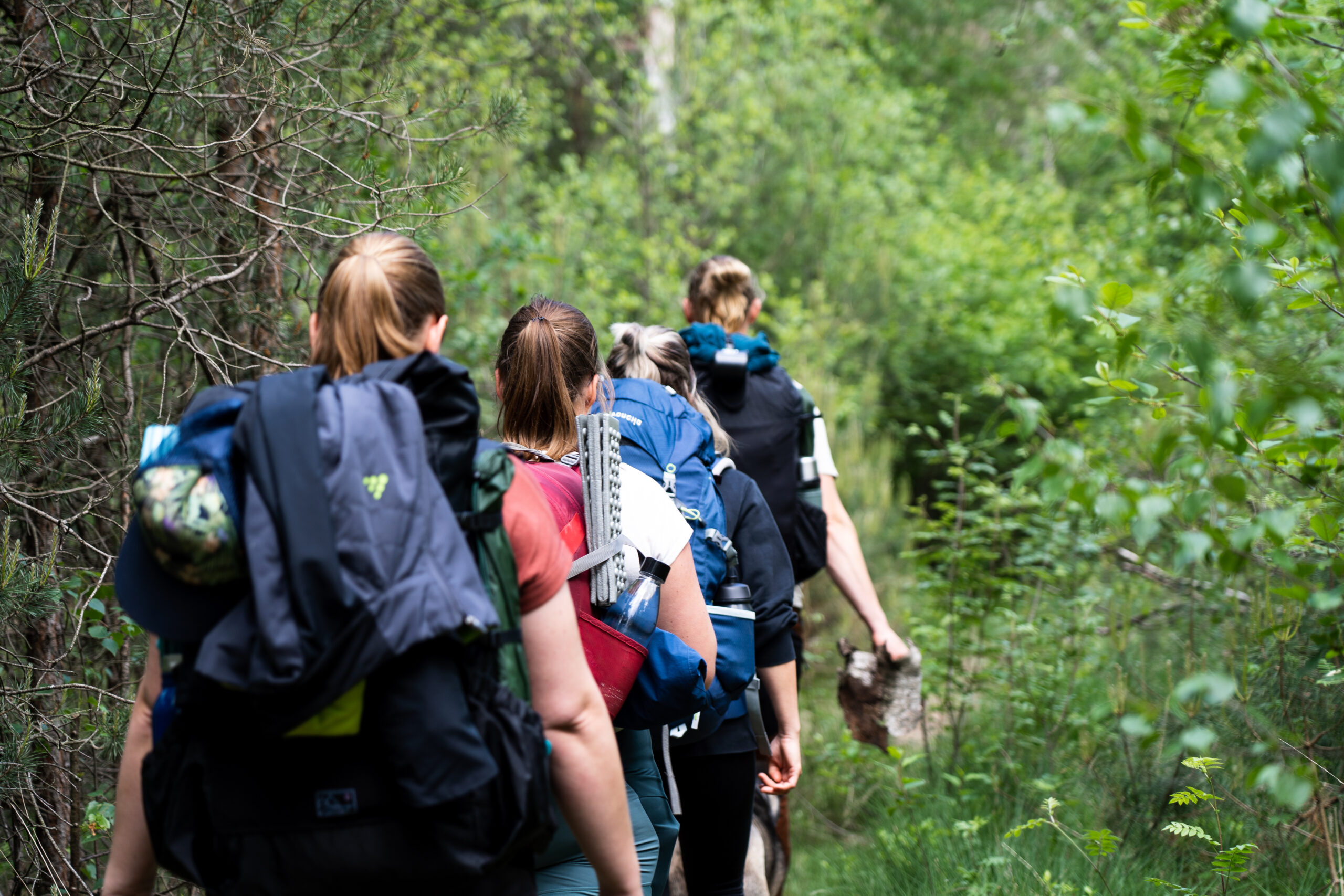 Start Hiking Drenthe