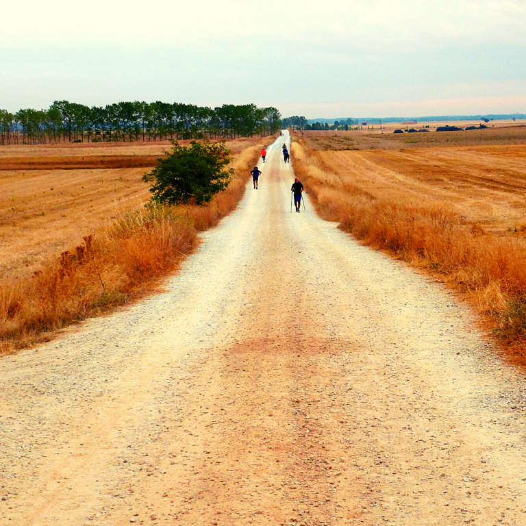 Santiago de Compostella_Ik Wil Hiken_1