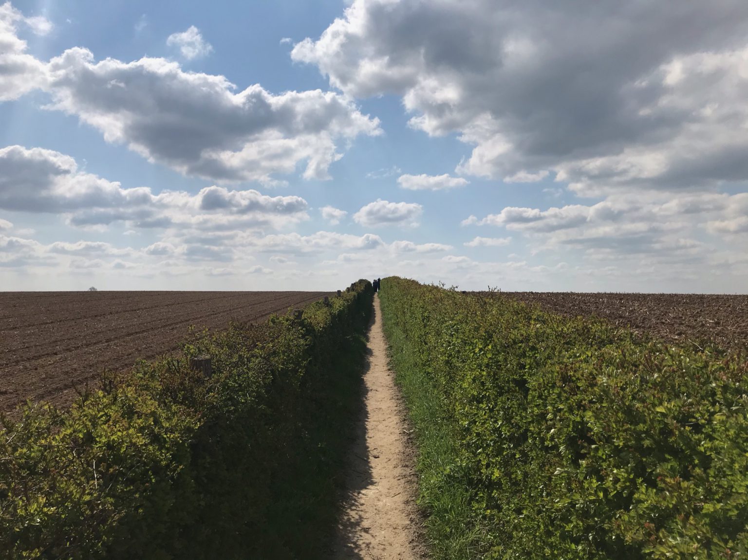 Hoogste punt Nederland, Dit is het hoogste punt van jouw provincie