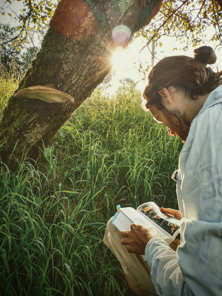 paddenstoelenman_schimmels en paddenstoelen_Ik Wil Hiken