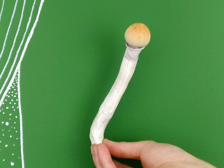 paddenstoelen leren natuur_ik wil hiken_wilde school_paddenstoelenman