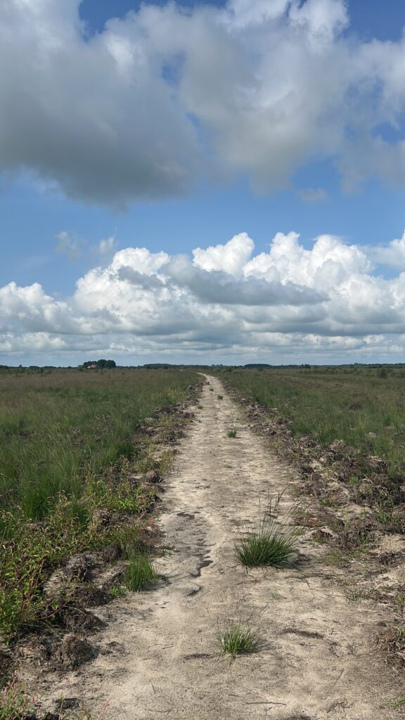 Drenthepad_Wandelen met kinderen_Dag 2_Ik Wil Hiken_02