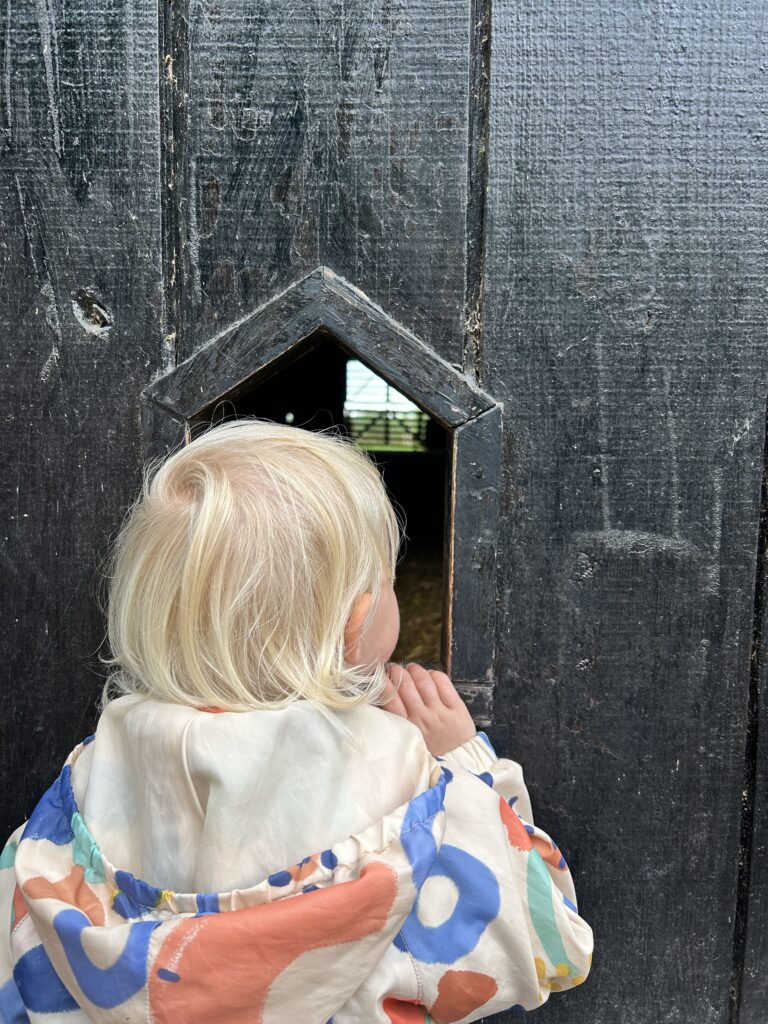 Drenthepad_Wandelen met kinderen_Dag 4_Ik Wil Hiken_0