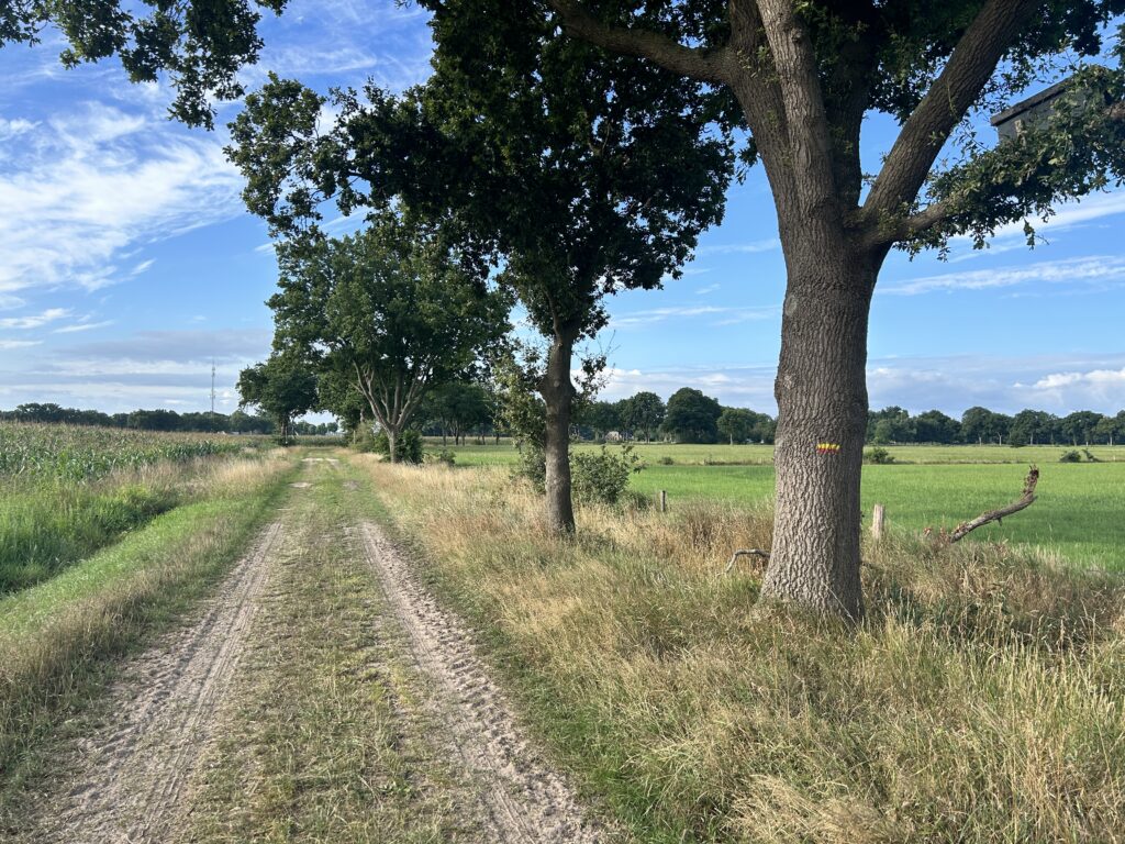 Drenthepad_Wandelen met kinderen_Dag 4_Ik Wil Hiken_01