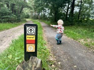 Drenthepad_Wandelen met kinderen_Dag 4_Ik Wil Hiken_02