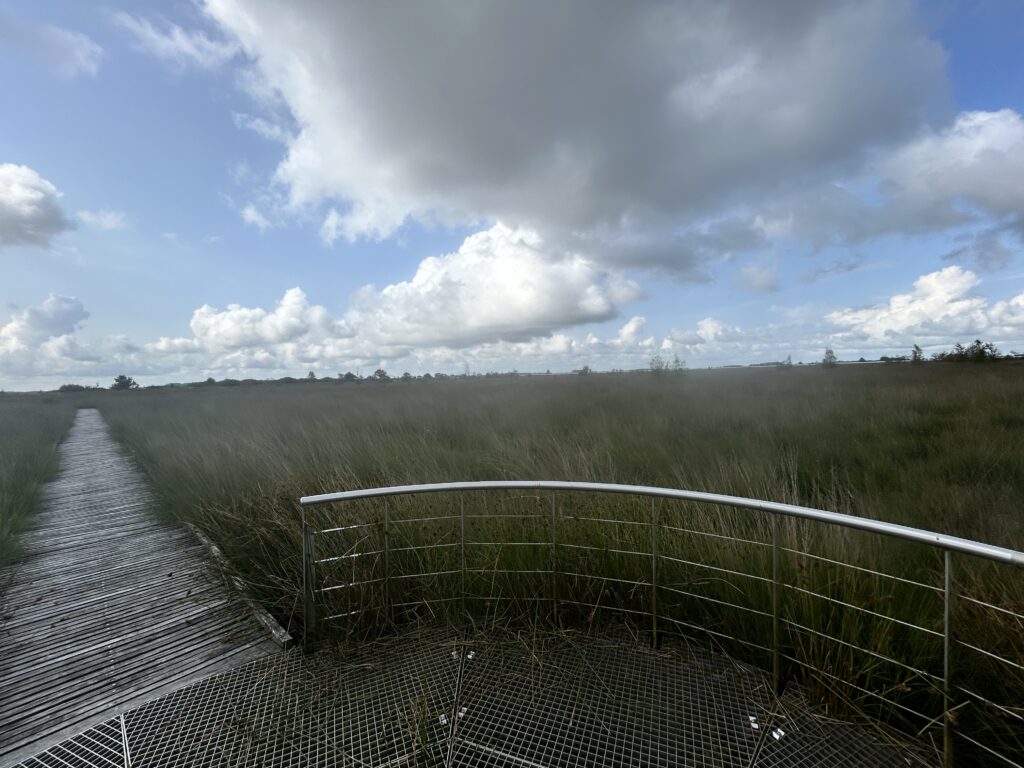 Drenthepad_Wandelen met kinderen_Dag 1_Ik Wil Hiken_03